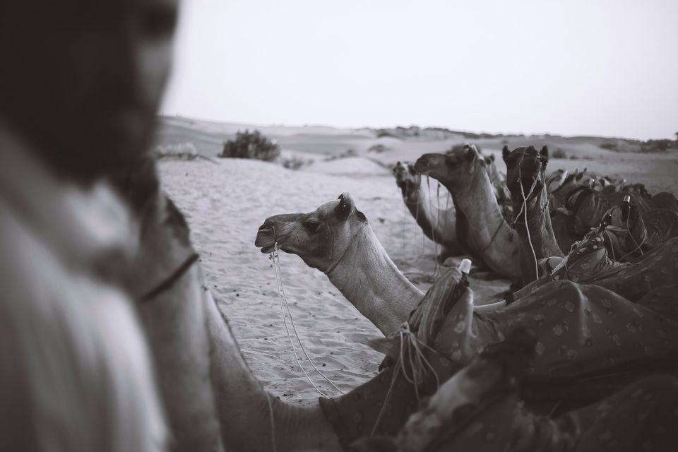 Photo of Sam Sand Dunes, Kanoi, Rajasthan, India by Mouna Nanaiah