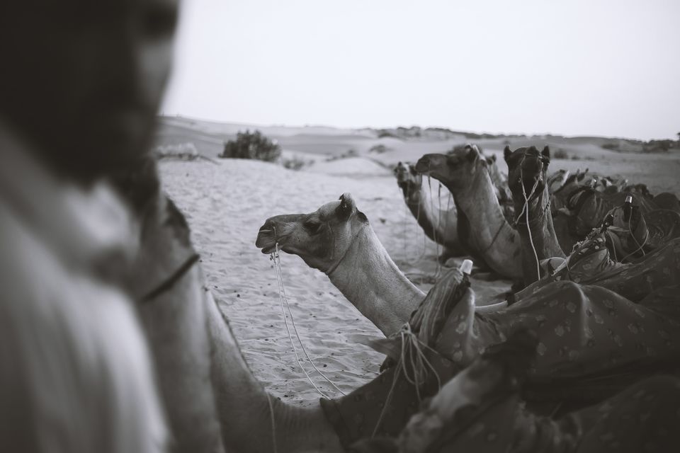 Photo of Sam Sand Dunes, Kanoi, Rajasthan, India by Mouna Nanaiah