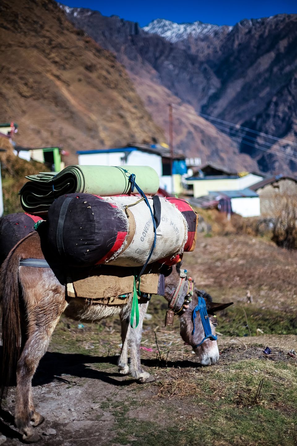 Photo of Joshimath, Uttarakhand, India by Mouna Nanaiah