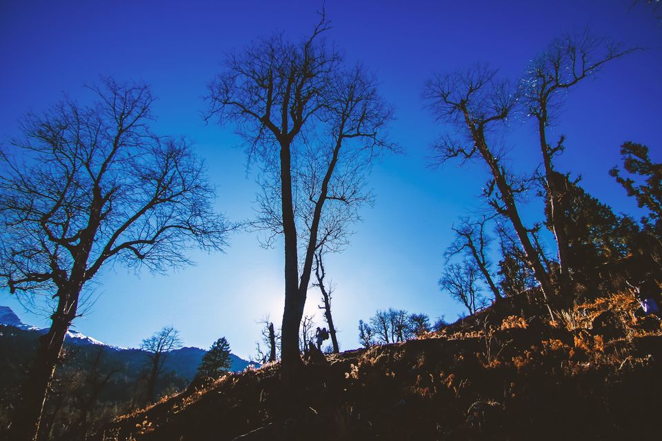 Photo of Joshimath, Uttarakhand, India by Mouna Nanaiah