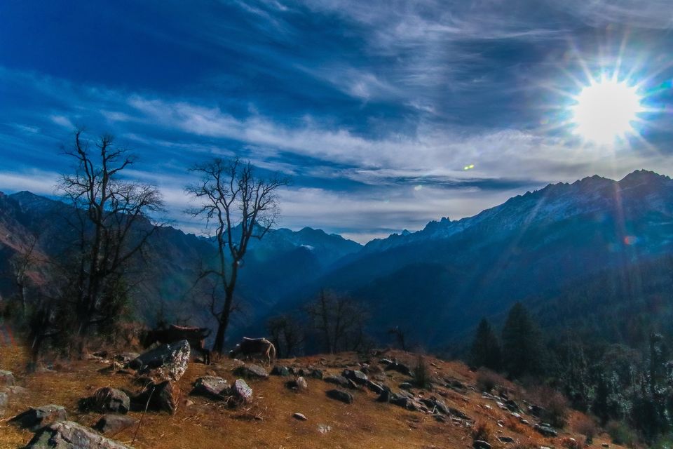 Photo of Joshimath, Uttarakhand, India by Mouna Nanaiah