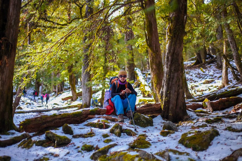 Photo of Chamoli, Uttarakhand, India by Mouna Nanaiah