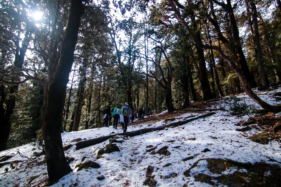 Photo of Chamoli, Uttarakhand, India by Mouna Nanaiah