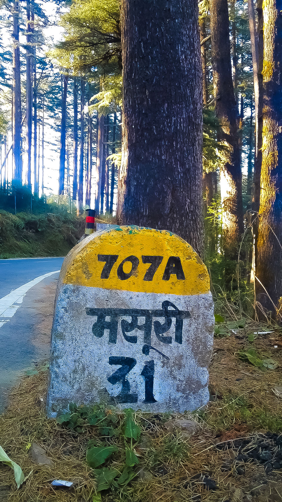 Photo of Dehradun, Uttarakhand, India by Mouna Nanaiah