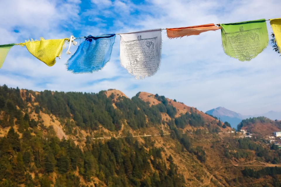 Photo of Dhanolti, Uttarakhand, India by Mouna Nanaiah