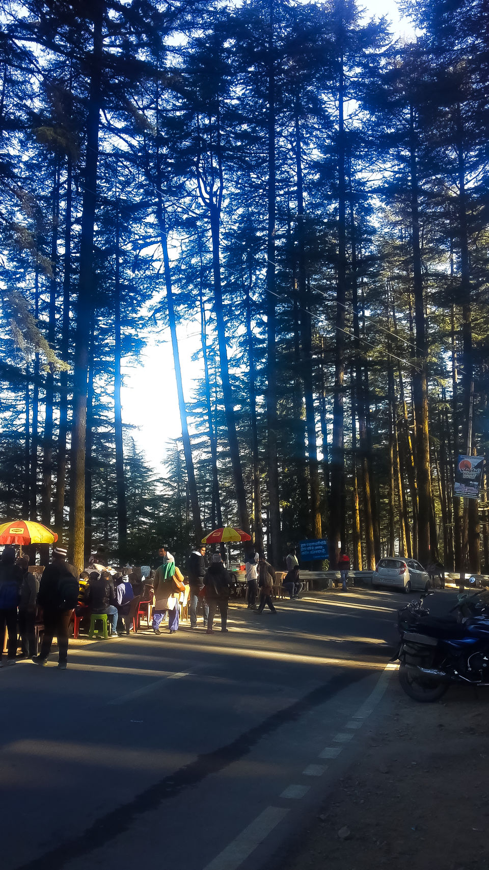 Photo of Dhanolti, Uttarakhand, India by Mouna Nanaiah