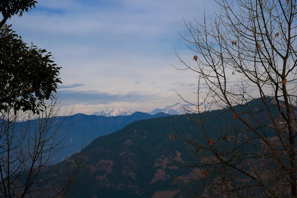 Photo of Dhanolti, Uttarakhand, India by Mouna Nanaiah