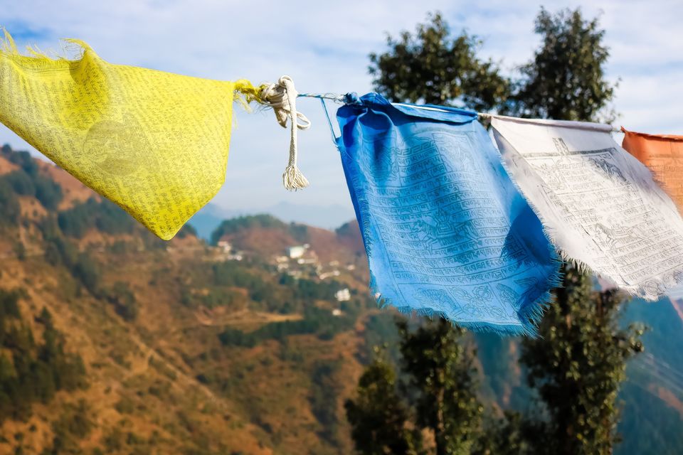 Photo of Dhanolti, Uttarakhand, India by Mouna Nanaiah