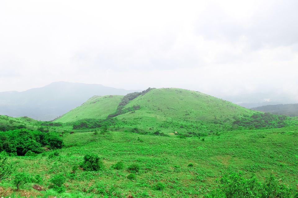 Photo of Kakkabe Town Market, Virajpet-Talakaveri Road, Kunjila, Karnataka, India by Mouna Nanaiah