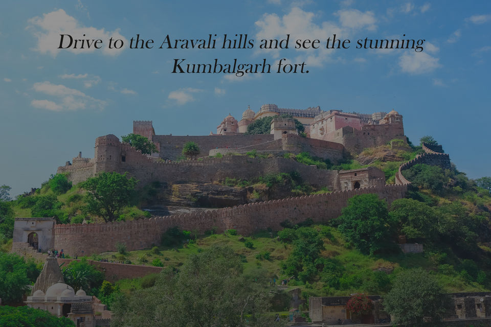 Photo of Jodhpur or Udaipur - What is the backpacker capital of Rajasthan? 6/14 by Mouna Nanaiah