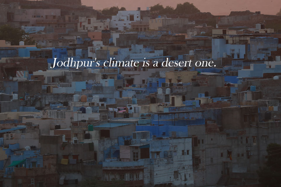 Photo of Jodhpur or Udaipur - What is the backpacker capital of Rajasthan? 11/14 by Mouna Nanaiah