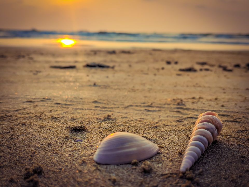 Photo of A Road Trip to the Serene West Coast of Namma Karnataka 5/7 by Mouna Nanaiah