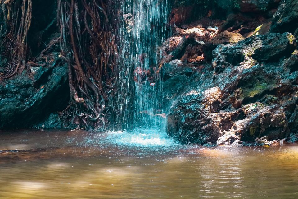 Photo of Honnavar, Karnataka, India by Mouna Nanaiah