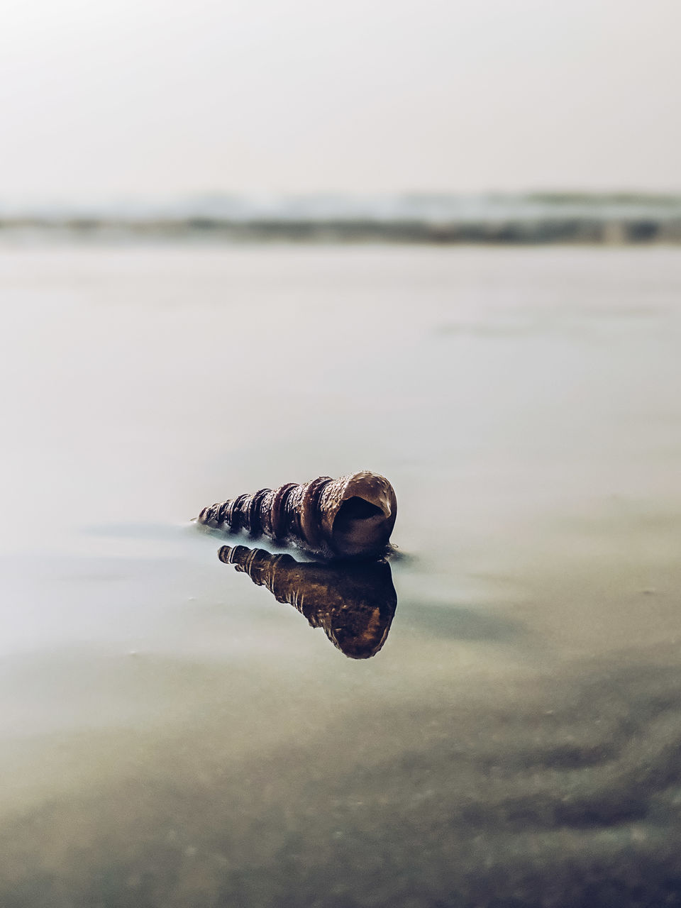 Photo of Kumta, Karnataka, India by Mouna Nanaiah