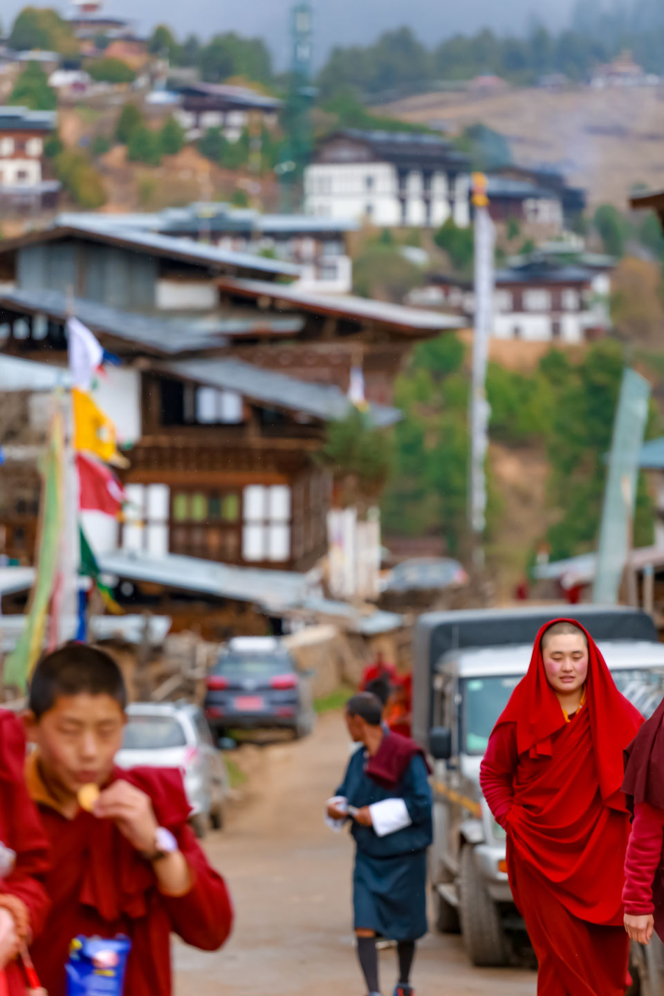 Photo of Phobjikha Valley, Wangdue Phodrang, Bhutan by Mouna Nanaiah