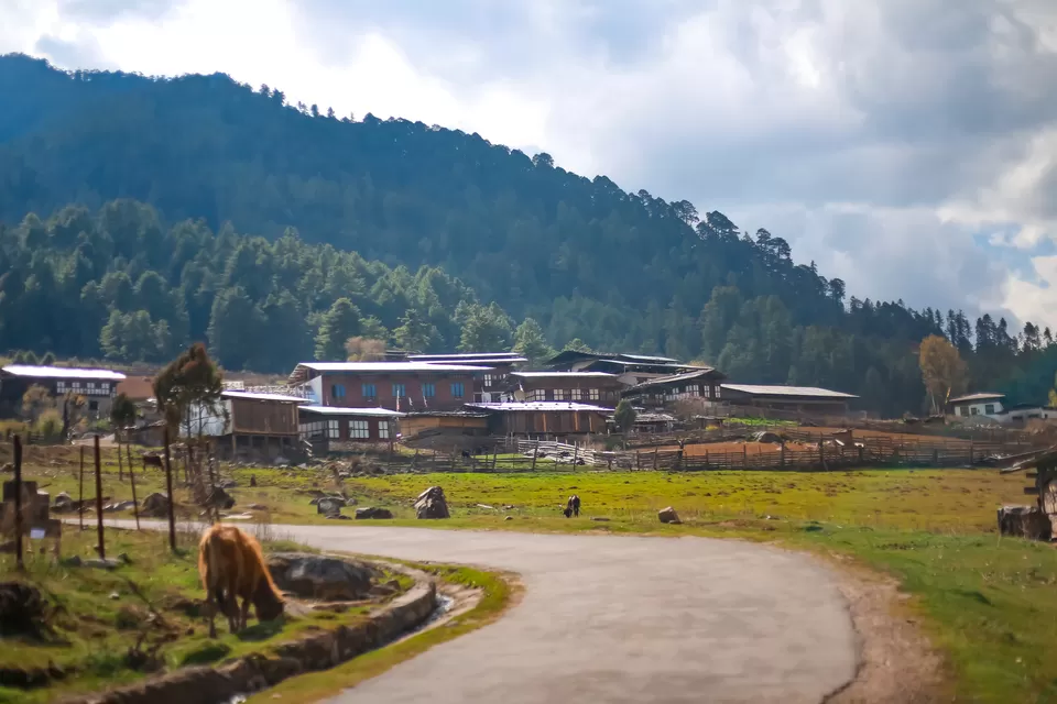 Photo of Phobjikha Valley, Wangdue Phodrang, Bhutan by Mouna Nanaiah
