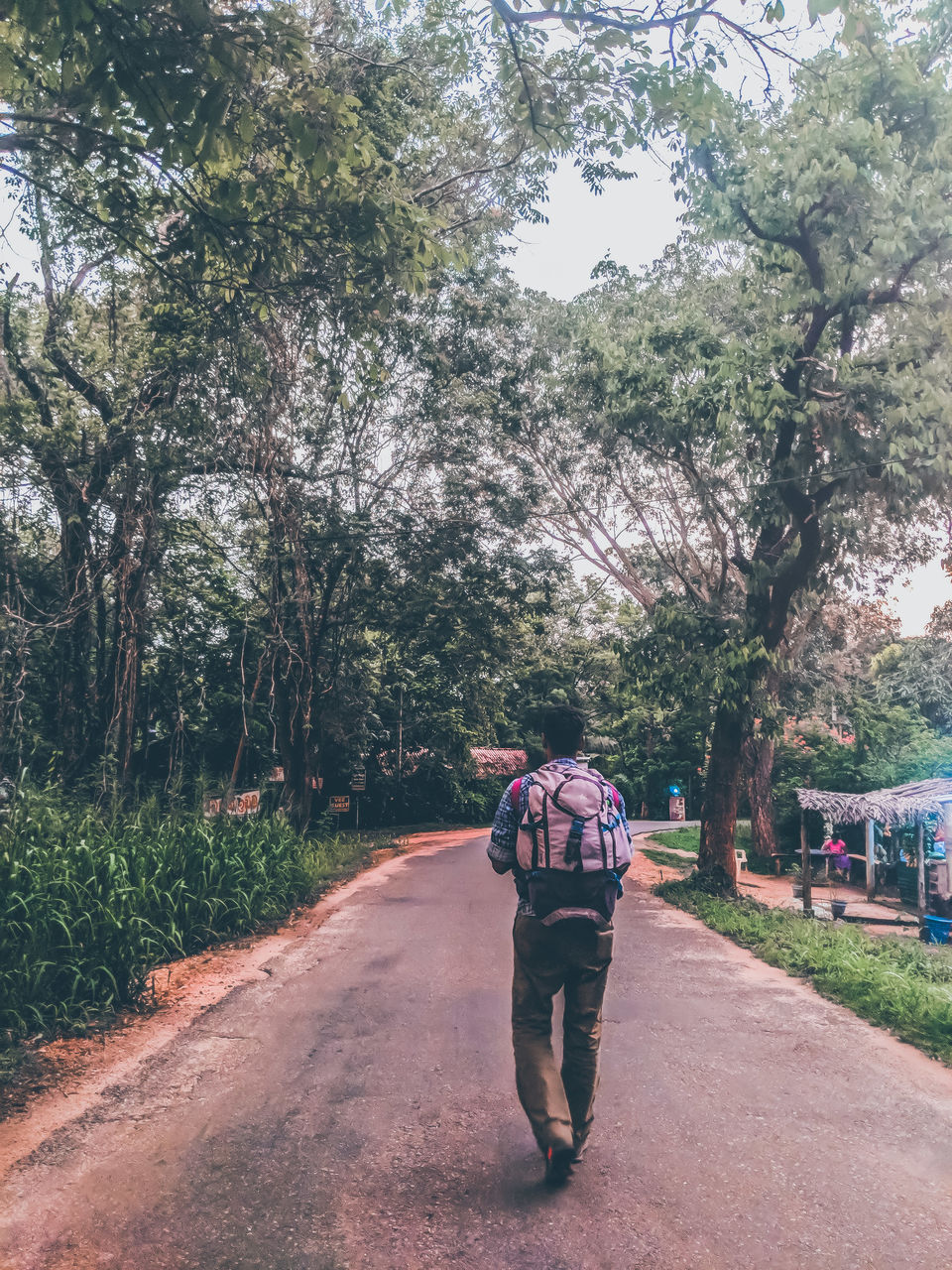 Photo of Dambulla, Sri Lanka by Mouna Nanaiah