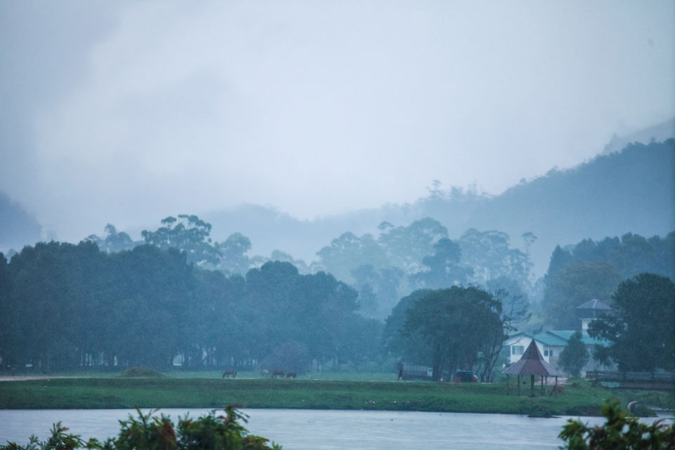 Photo of Nuwara Eliya, Sri Lanka by Mouna Nanaiah