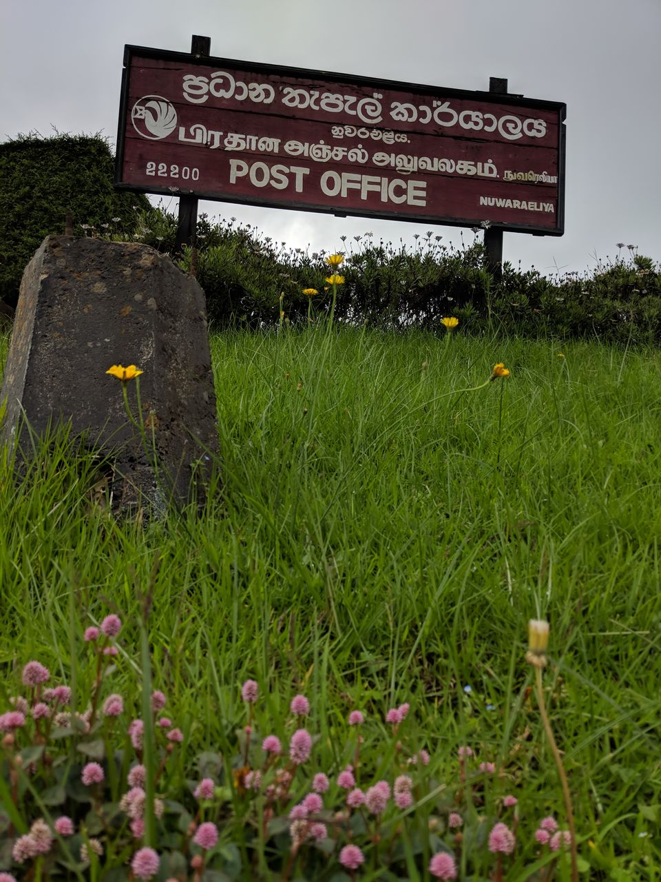 Photo of Nuwara Eliya, Sri Lanka by Mouna Nanaiah