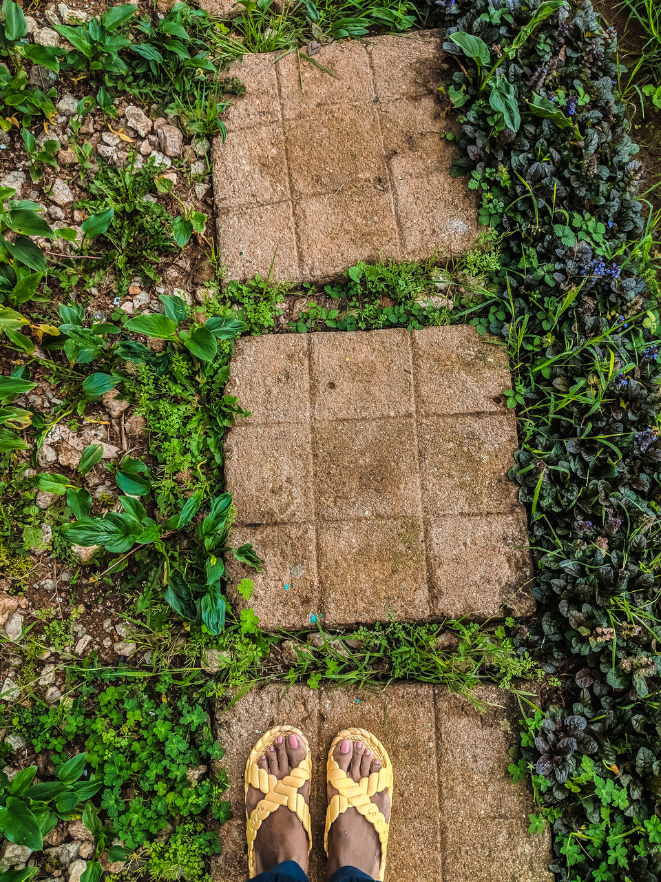 Photo of Nuwara Eliya, Sri Lanka by Mouna Nanaiah