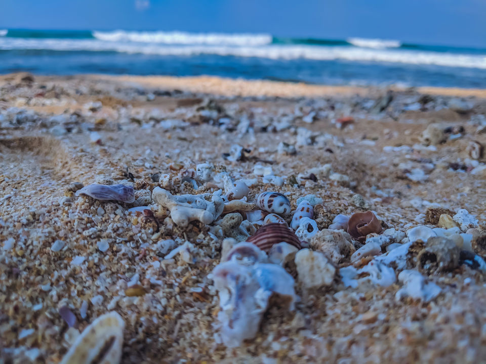 Photo of Unawatuna, Sri Lanka by Mouna Nanaiah