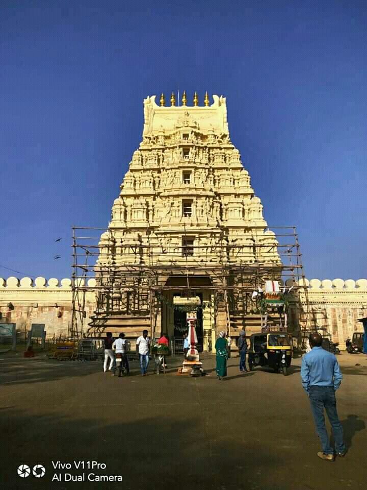 Photo of Mysore by Bappa Das