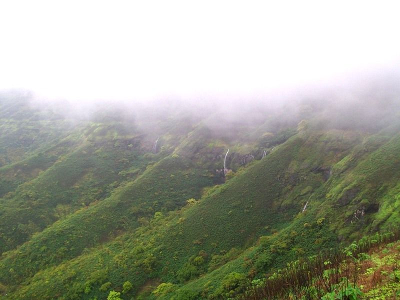 Photo of Torna Fort by Aashish Chawla