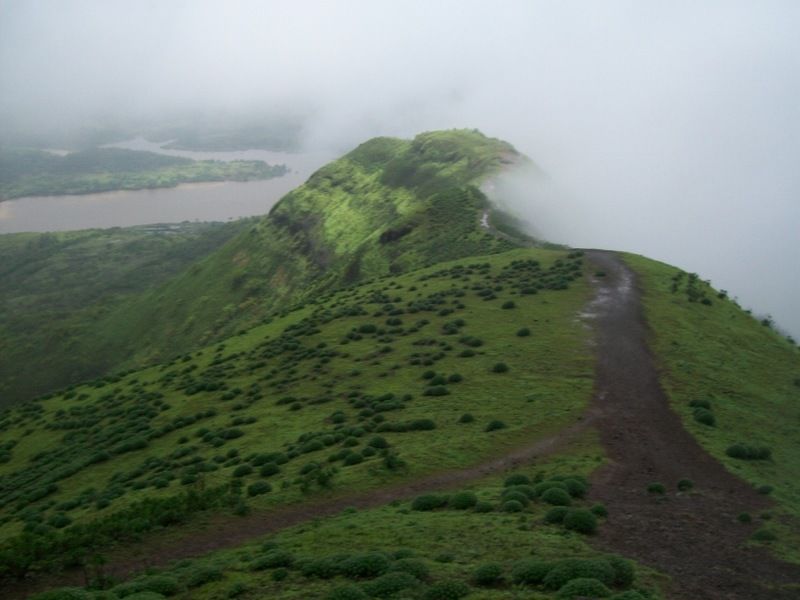 Photo of Torna Fort by Aashish Chawla