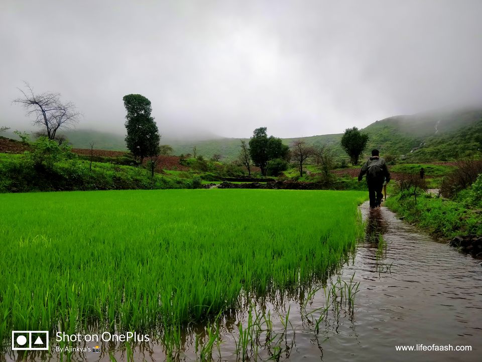 Photo of Tringalwadi Trek - Aashish Chawla 4/12 by Aashish Chawla