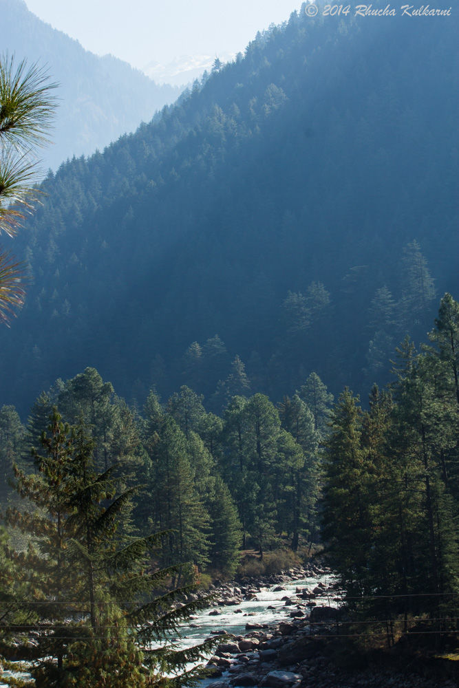 Photo of Day 16 of Solo Sojourn...Bidding Kasol Goodbye 5/5 by Rhucha Kulkarni