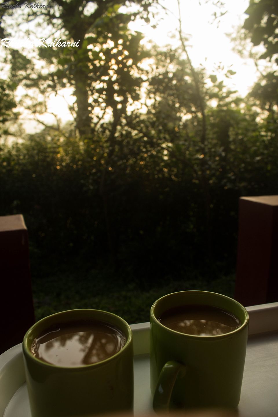 Photo of Courting the Coffee Trails of Coorg 1/3 by Rhucha Kulkarni