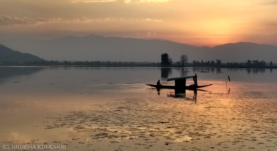 Photo of Shikaras and Sweet Nothings: Valentines Weekend Getaway by Rhucha Kulkarni