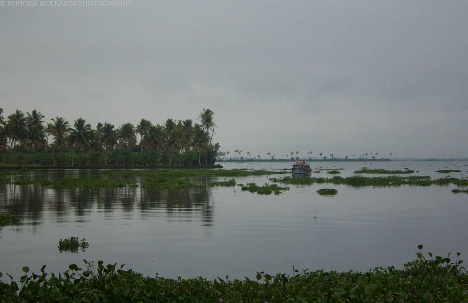Photo of Soulful and Serene Kerala: The Wellness Way 1/2 by Rhucha Kulkarni