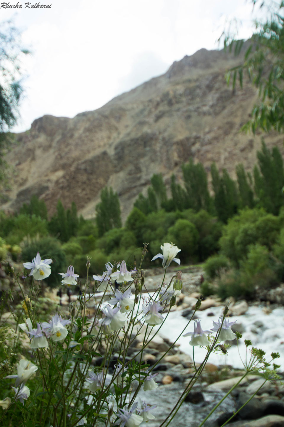 Photo of Tucked away in Time: Turtuk 1/3 by Rhucha Kulkarni