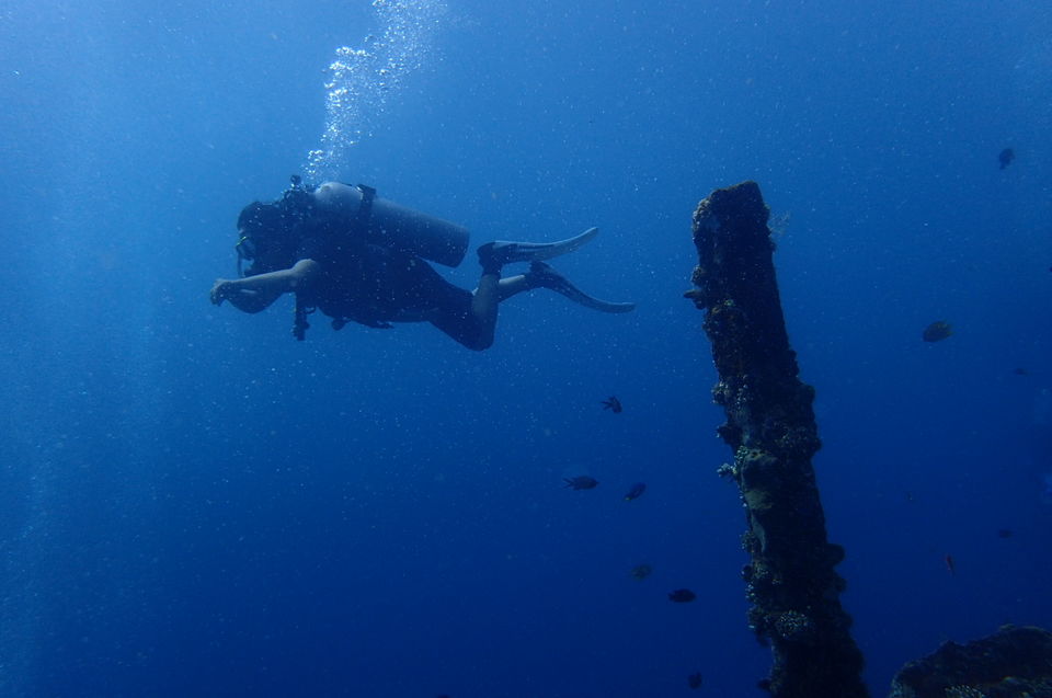 Photo of Top Places to Dive in Bali ! by Rhucha Kulkarni