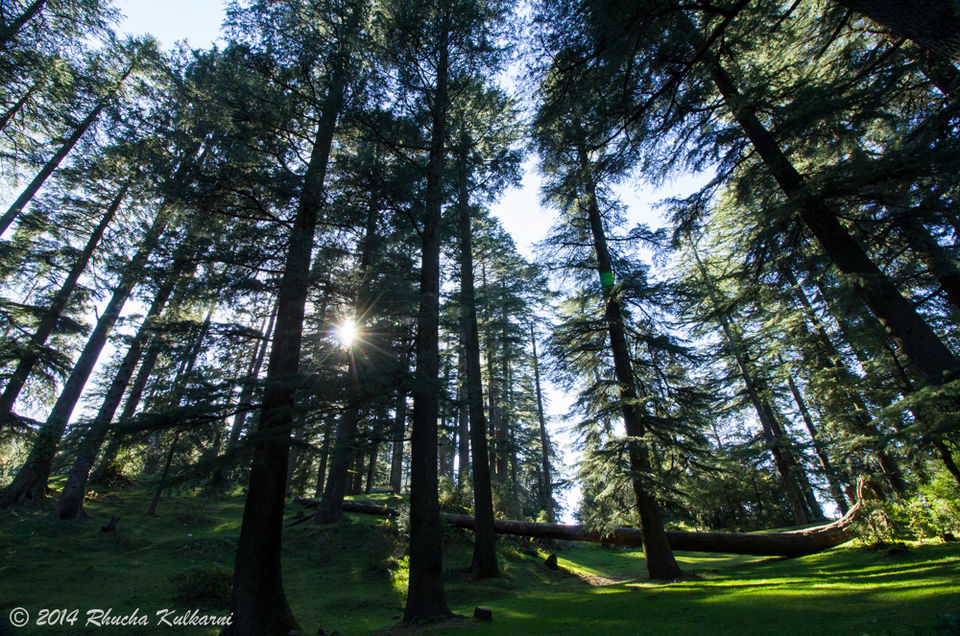 Photo of Dalhousie Diaries.... 1/5 by Rhucha Kulkarni