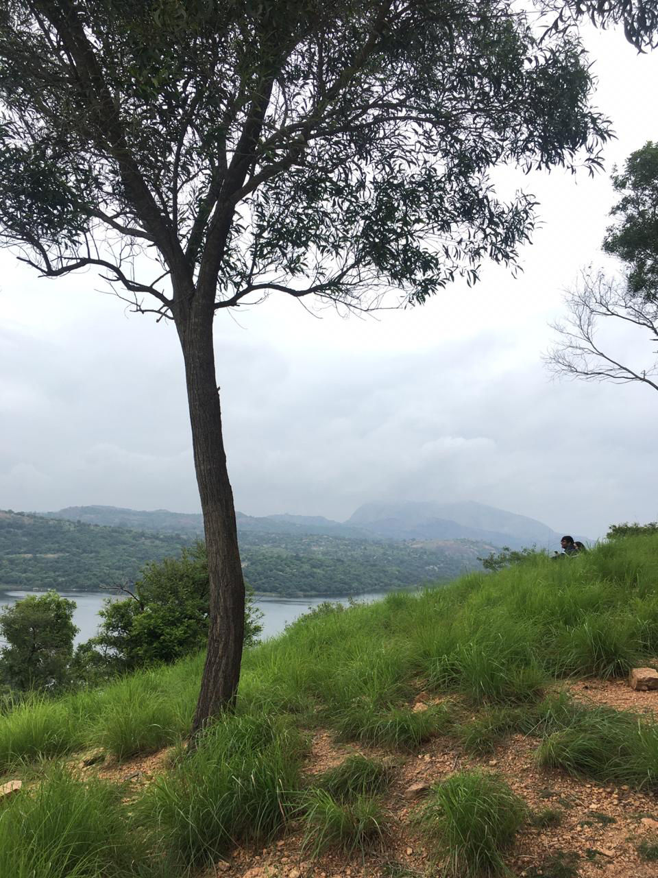 Photo of Manchanabele Dam, SH 85, Bengaluru, Karnataka, India by Adithi P Bhat