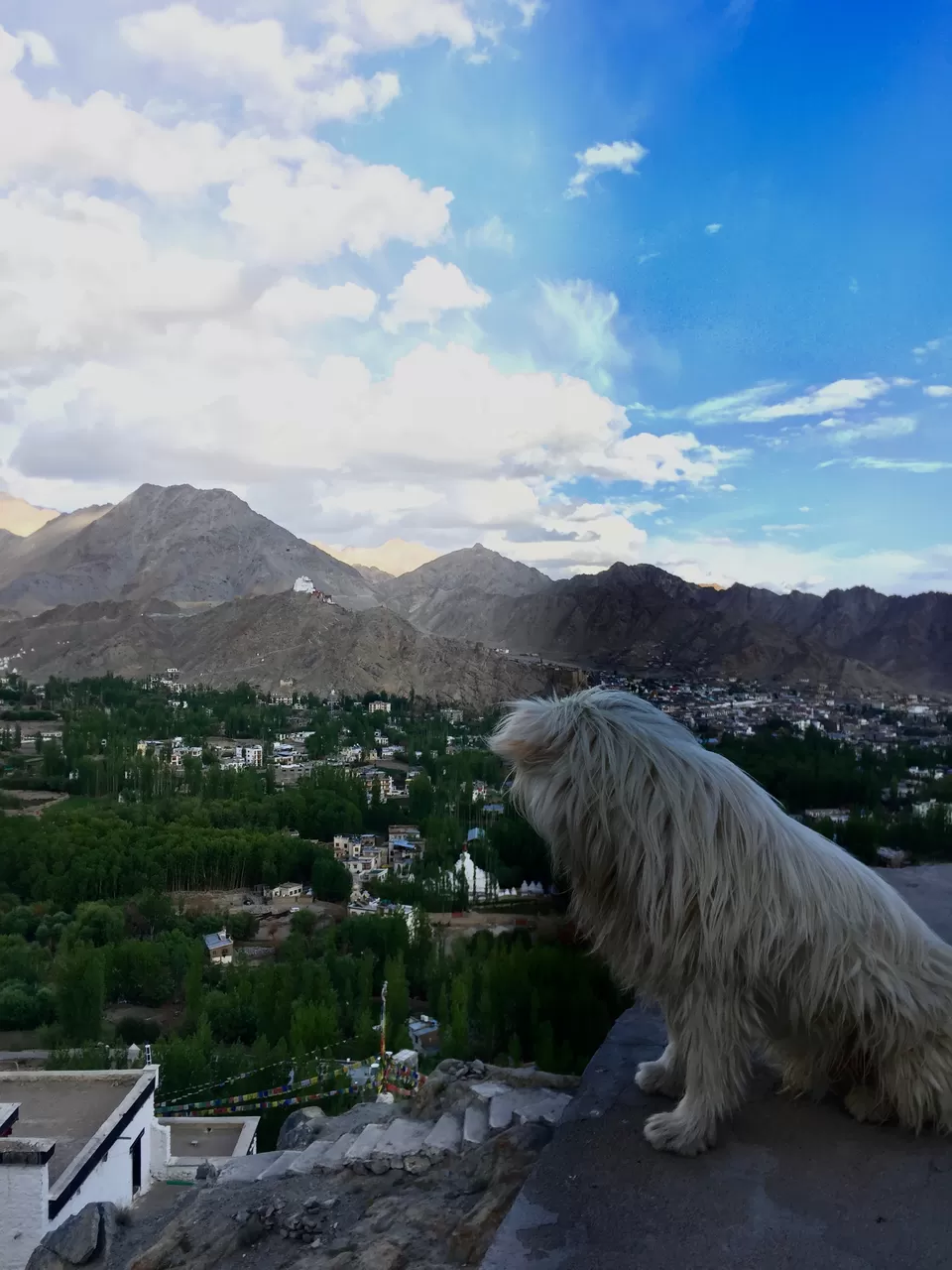 Photo of Shanti Stupa Road, Leh by Shutter.Storyz