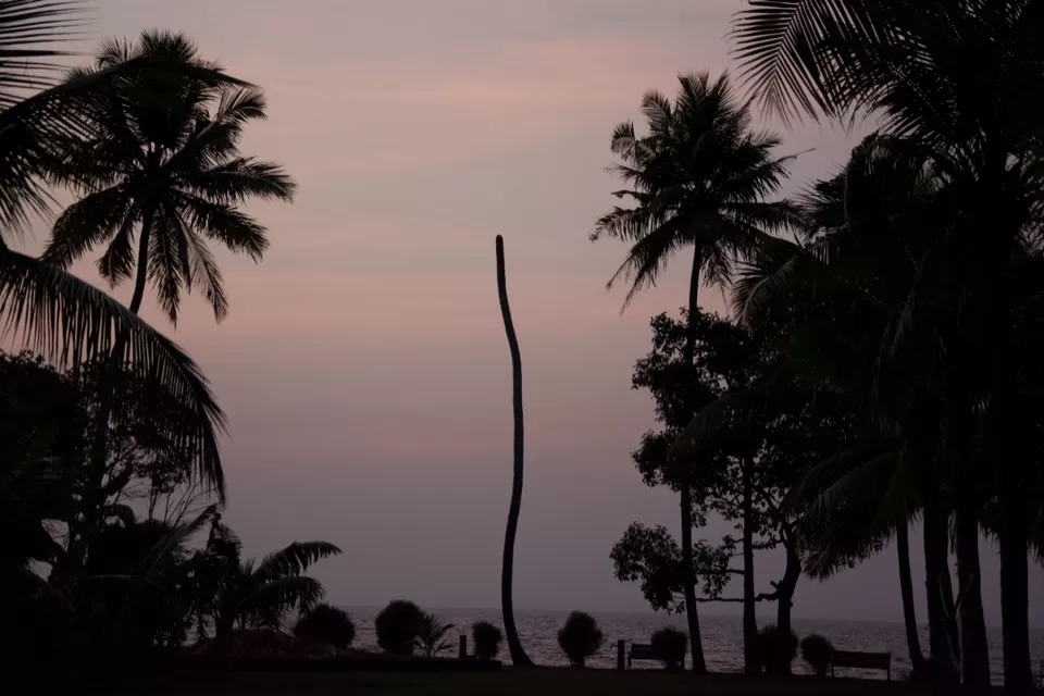 Photo of Lakesong Resort, Athikkalam, Kumarakom, Kerala, India by Shutter.Storyz