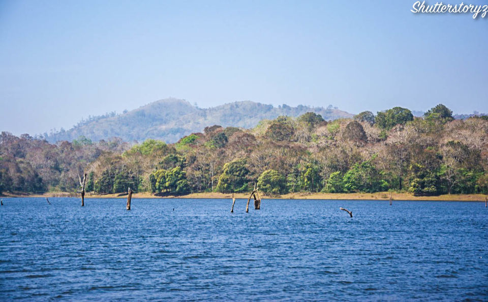 Photo of Periyar Tiger Reserve, Thekkady, Kumily, Kerala, India by Shutter.Storyz