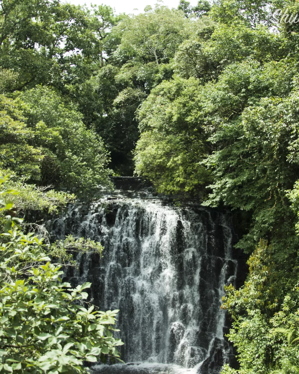 Photo of Elephant Falls, Shillong, Meghalaya, India by Shutter.Storyz
