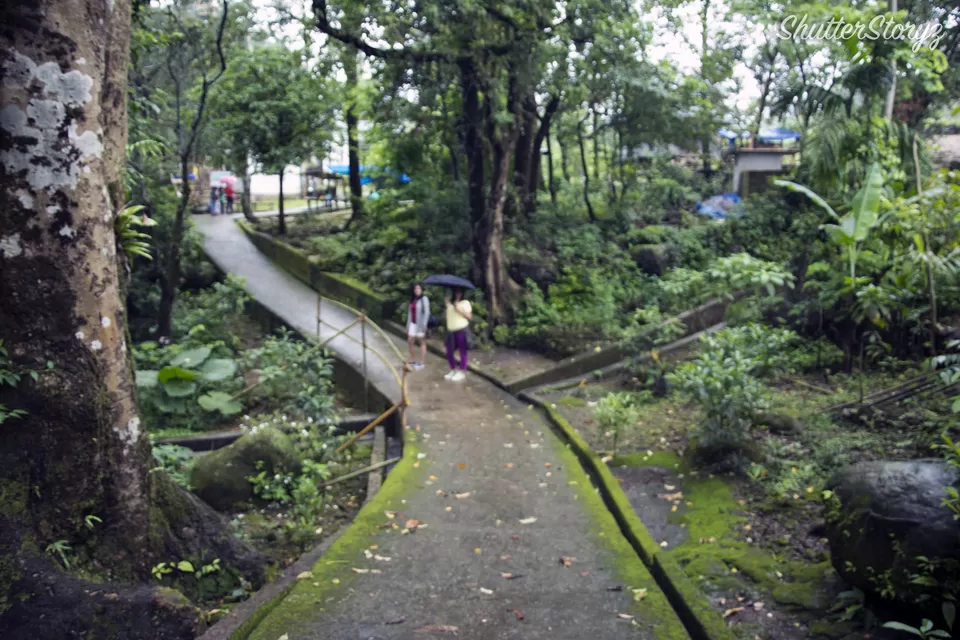 Photo of Living Root Bridge, East Khasi Hills, Meghalaya, India by Shutter.Storyz