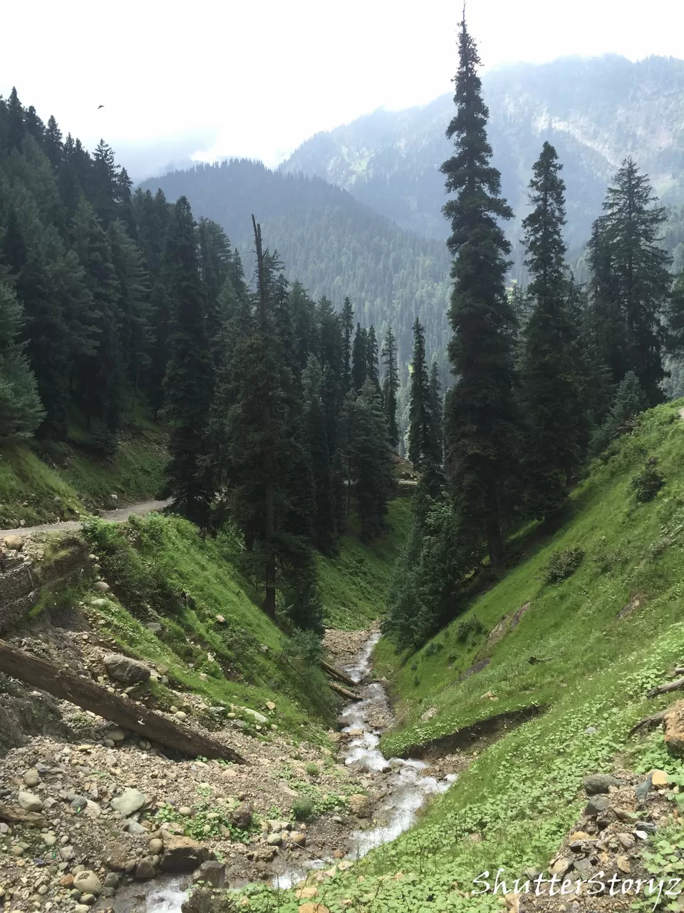 Photo of Aru Vally, Pahalgam by Shutter.Storyz