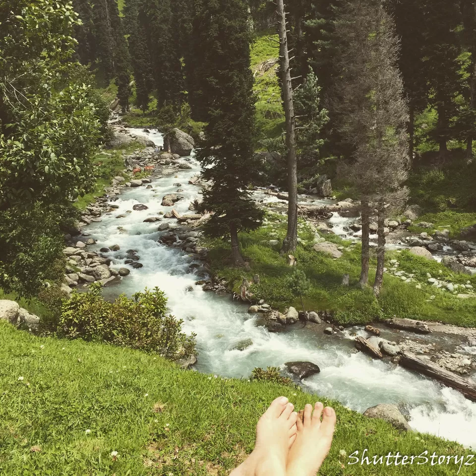 Photo of Aru Vally, Pahalgam by Shutter.Storyz