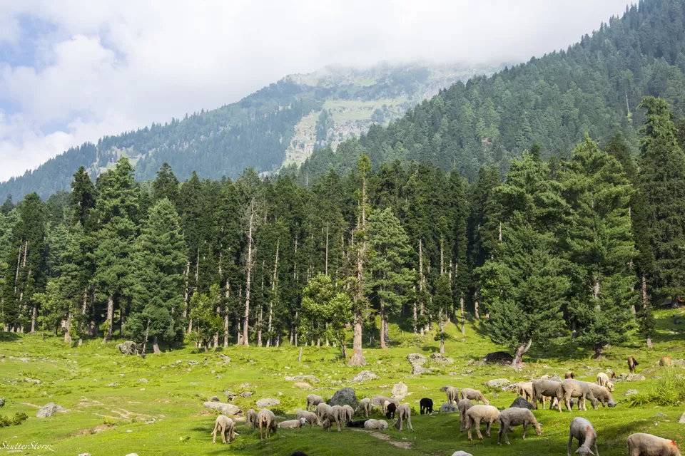Photo of Pahalgam by Shutter.Storyz