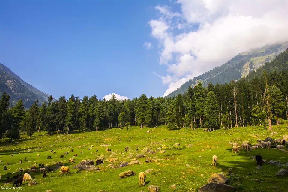 Photo of Pahalgam by Shutter.Storyz