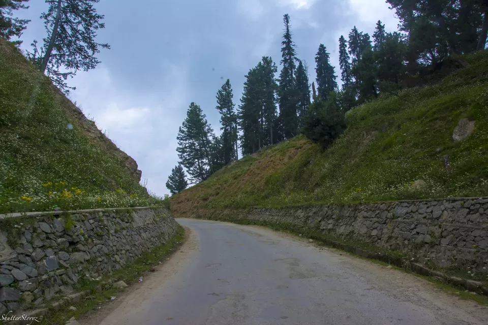 Photo of Gulmarg by Shutter.Storyz