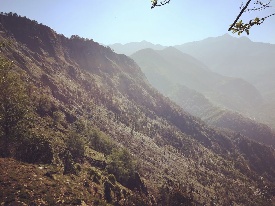Photo of Chopta, Uttarakhand, India by Shutter.Storyz