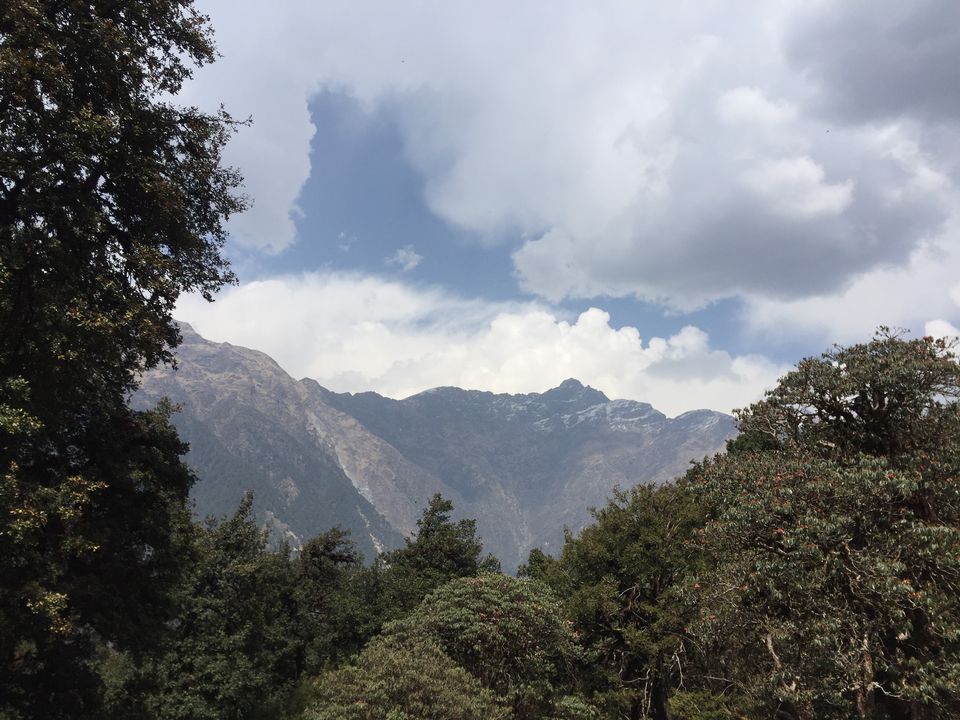 Photo of Chopta, Uttarakhand, India by Shutter.Storyz