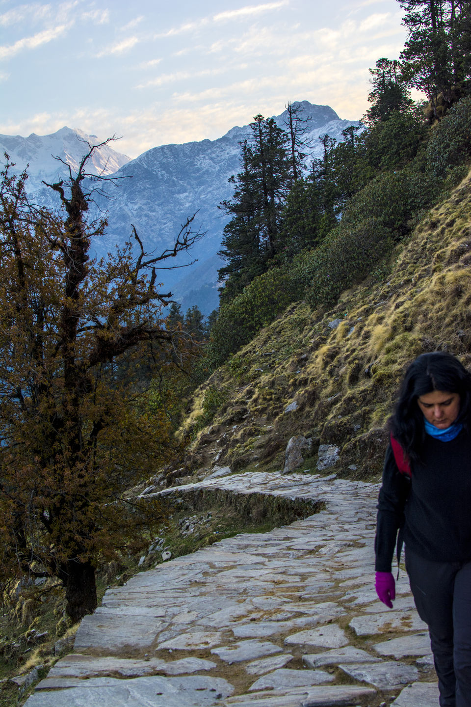 Photo of Chandrashila, Tungnath, Uttarakhand by Shutter.Storyz